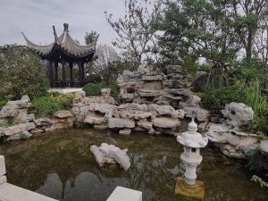 太湖石91网站在线观看