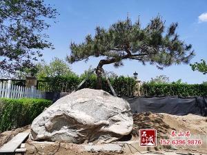 庭院擺放91黄色视频软件下载有什麽講究